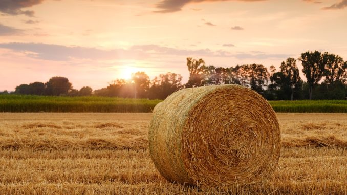straw-bales-3521063_960_720