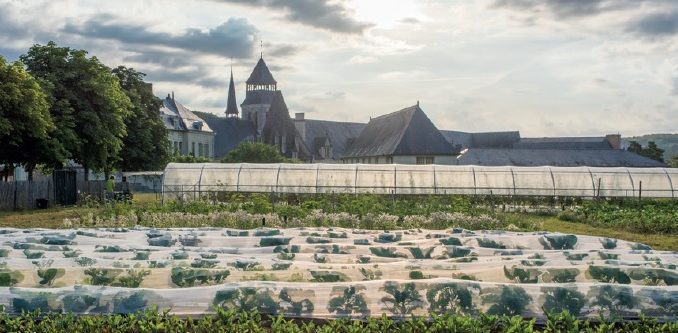 jardin fontevraud
