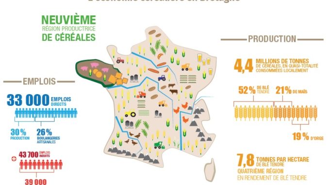 céréale bretagne